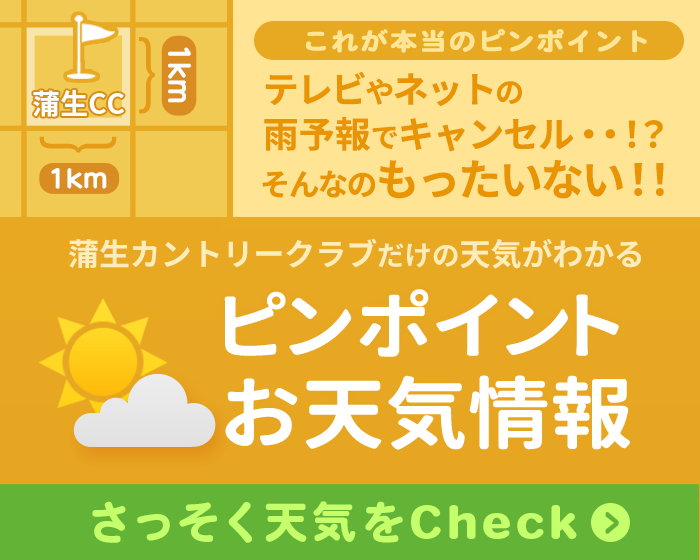 お天気情報サービス